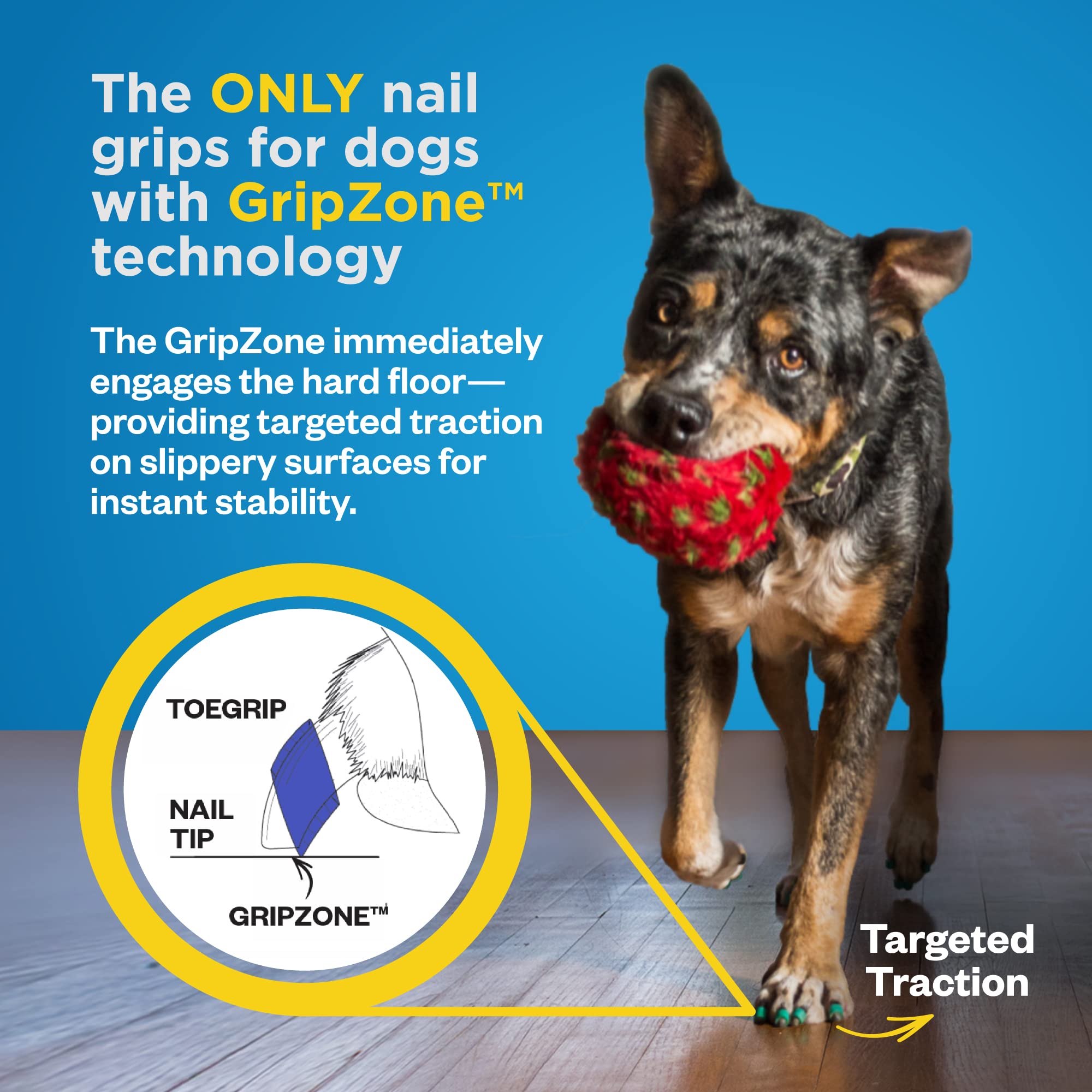 Dr Buzby's Medium ToeGrips for Dogs,Instant Traction on Wood/Hardwood Floors,Dog Anti Slip Relief,Dog Grippers for Senior Dogs,S